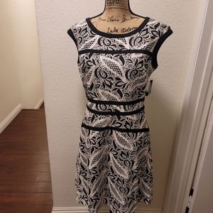 Lace Black A-Line Dress